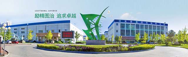 頸復康藥業集團有限公司